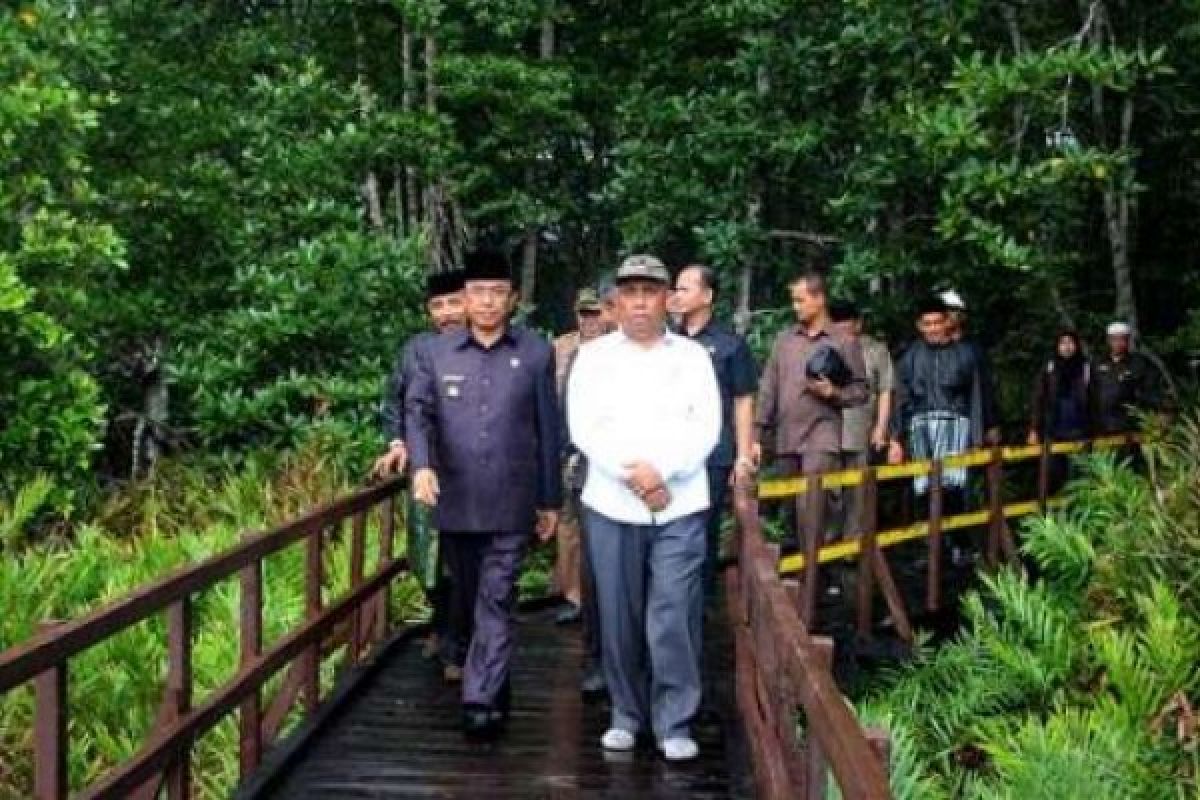 Indragiri Hilir Kembangkan Kawasan Hutan Bakau