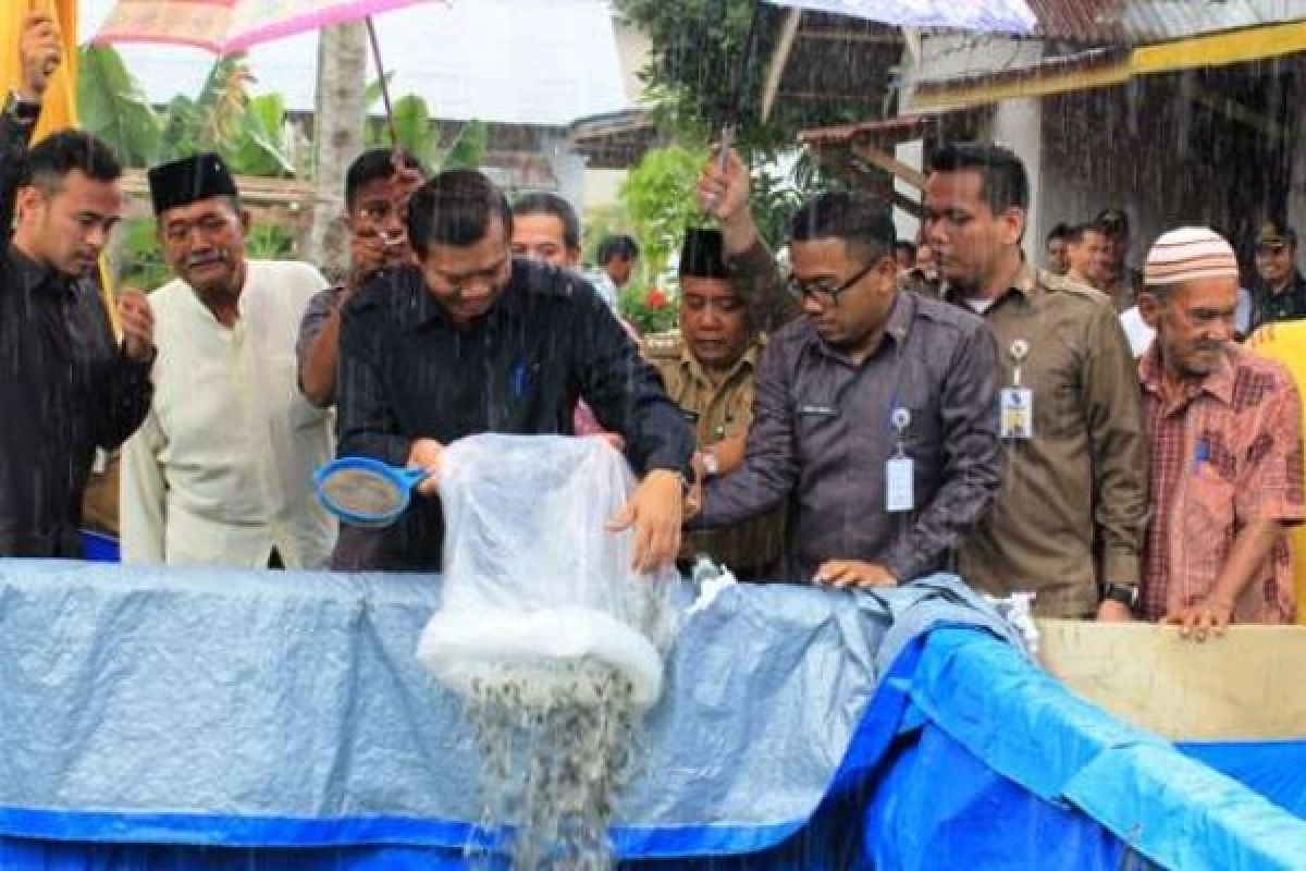 Program Pekanbaru Makmur, Baznas Gelontorkan 23 Ribu Bibit Ikan Lele