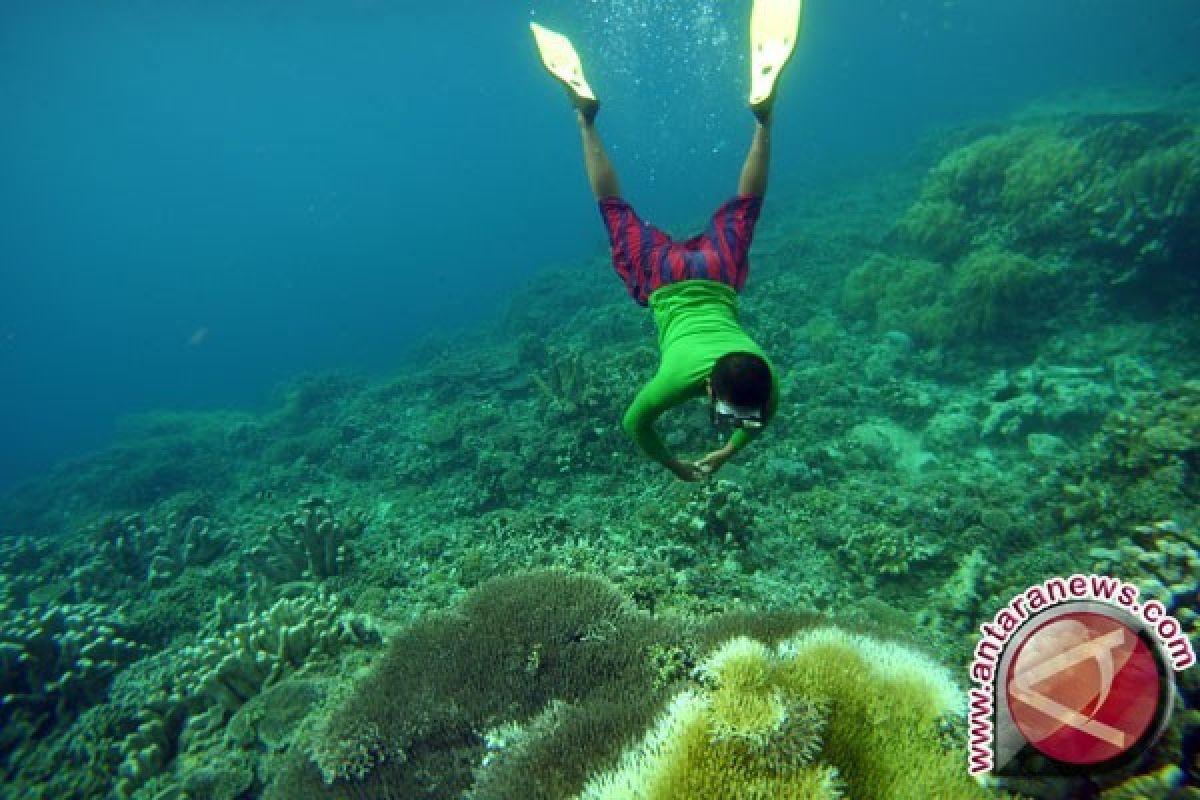 Pesona bawah laut Sabang membuat wisatawan takjub