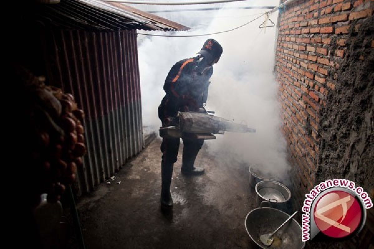 One child dies from dengue fever in Banjarmasin