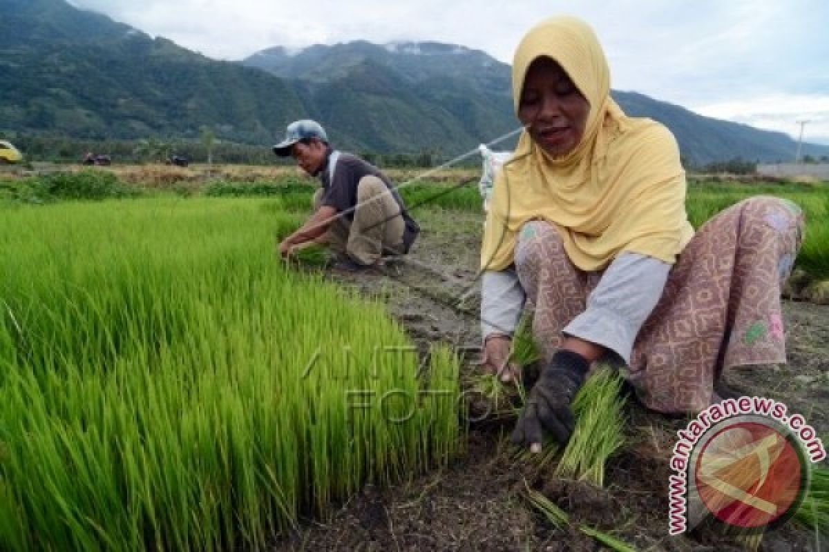 Tanjab Timur diminta berikan klarifikasi hasil produksi Pajale