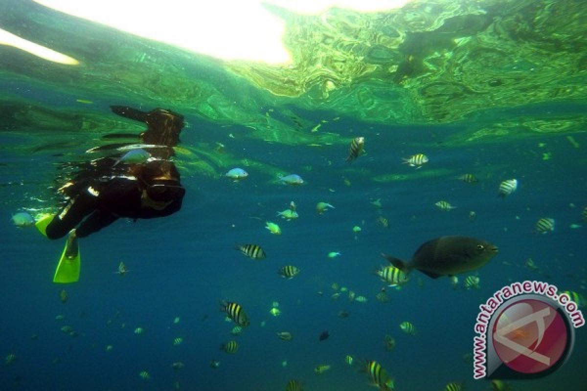 Putri Indonesia Gorontalo Promosikan Taman Laut Olele 