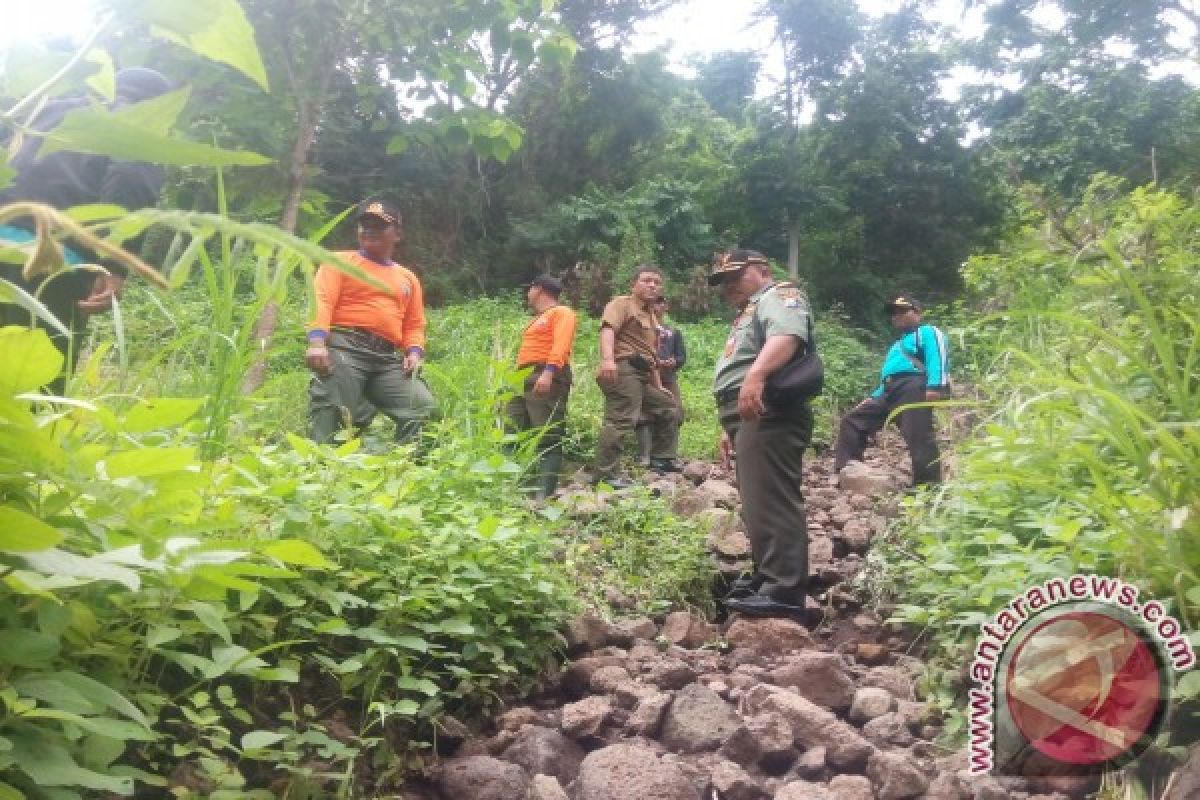 Perhutani Bondowoso Targetkan Hijaukan Lahan 175 Hektare