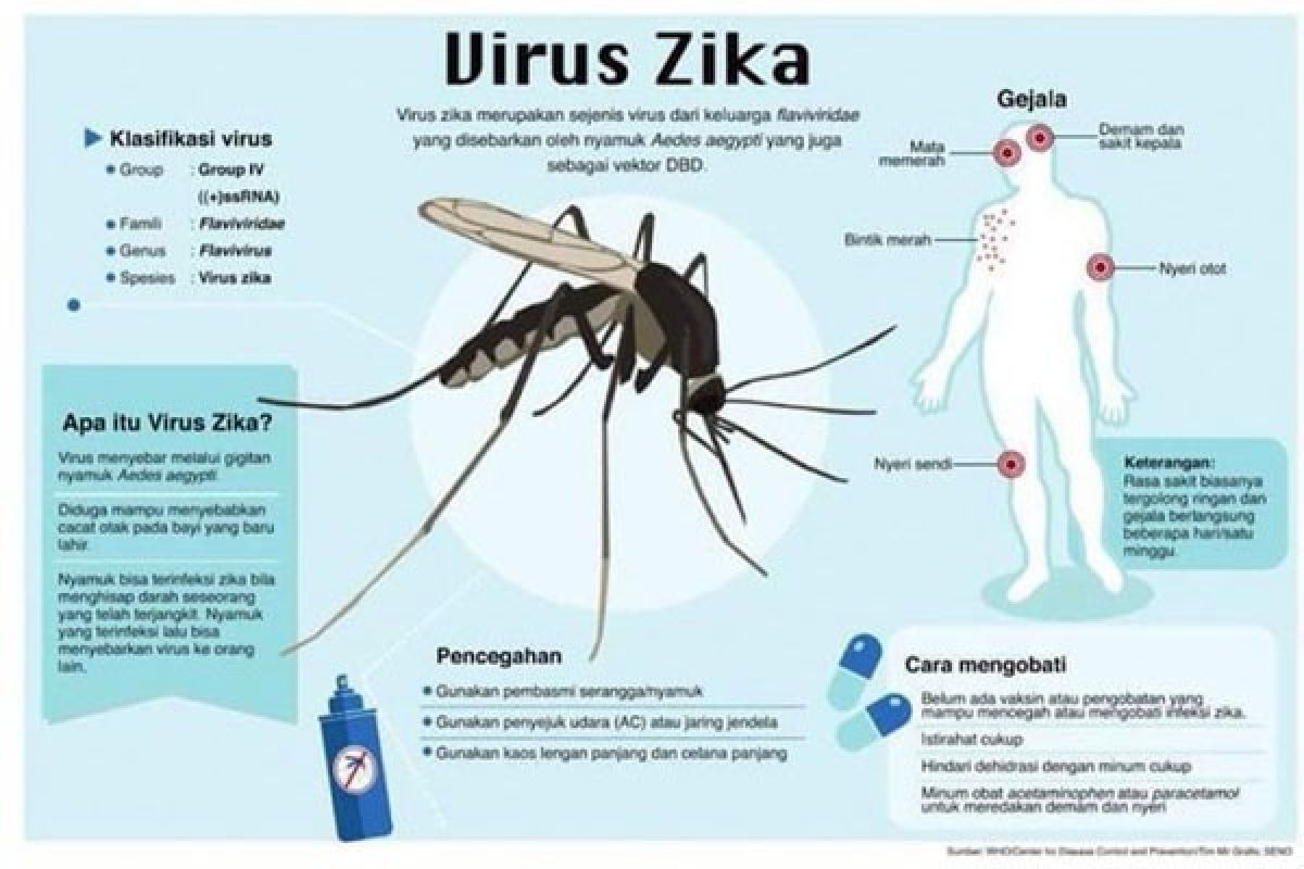 Virus Zika serang lokawisata Jaipur