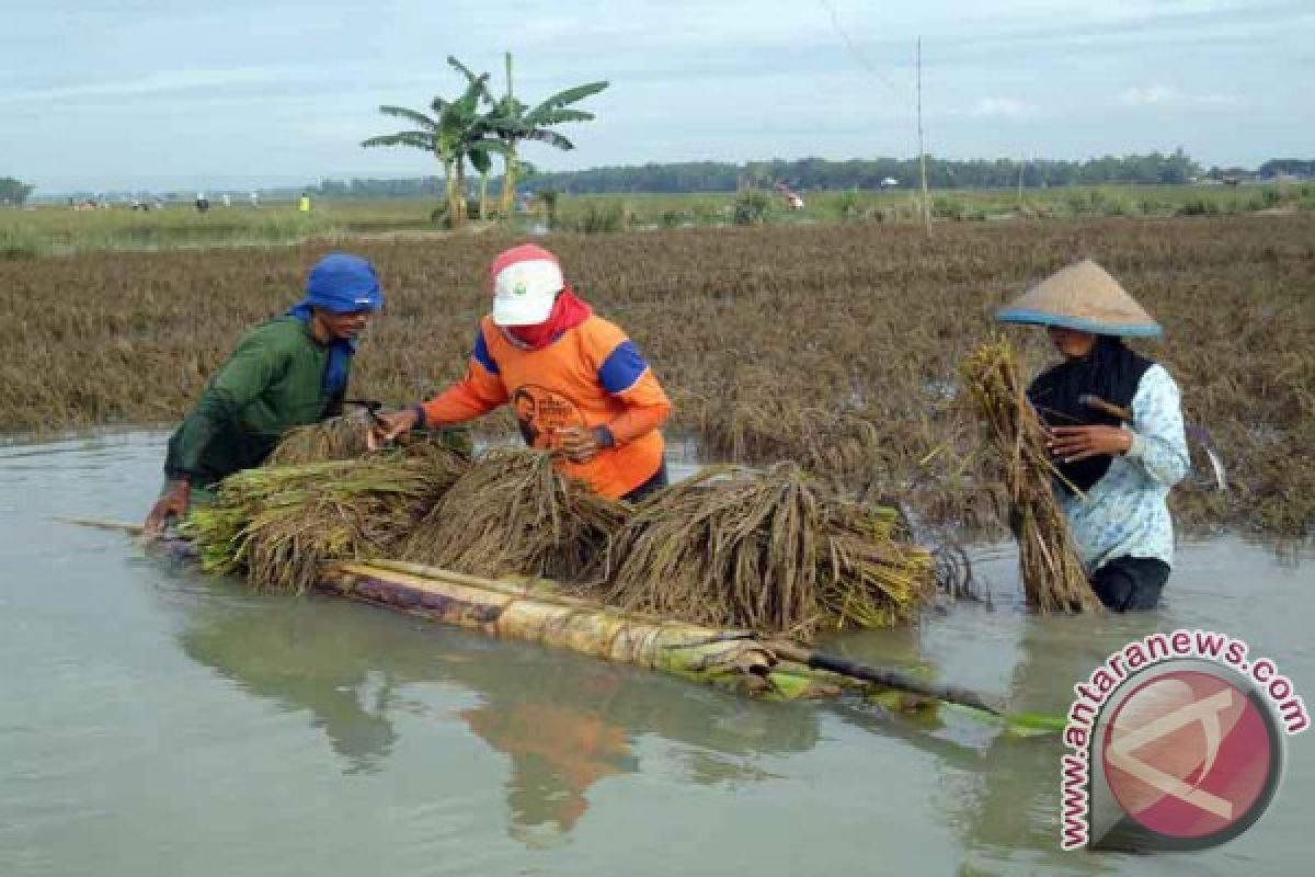 Pemkab Bojonegoro Persiapkan Pengganti Kadis Peternakan