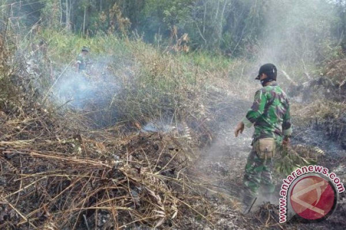 Kaltim Waspadai Karhutla Meski Bukan Daerah Rawan