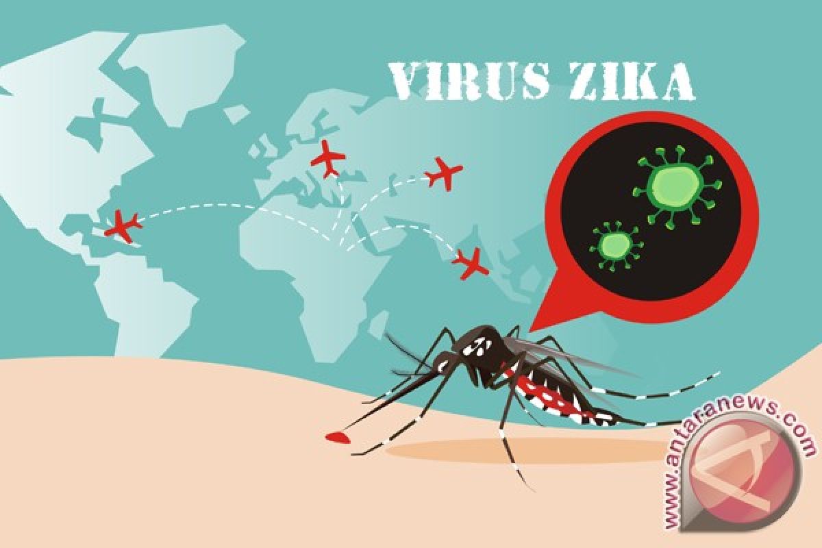 Tujuh kasus virus Zika, termasuk perempuan hamil, dilaporkan di Spanyol