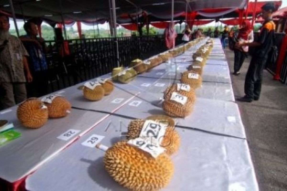 Dua kali batal, Pekalongan segera gelar Festival Durian 2018