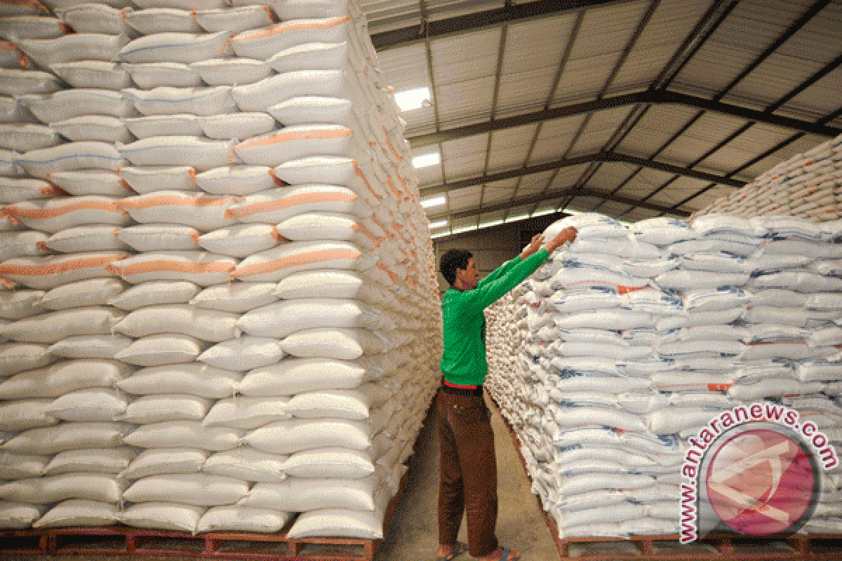 HKTI dorong pemerintah kecilkan keran impor beras