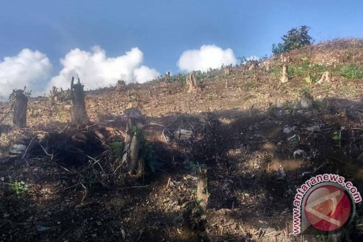 Pembalak Mengaku Leluasa Curi Kayu Hutan Tulungagung