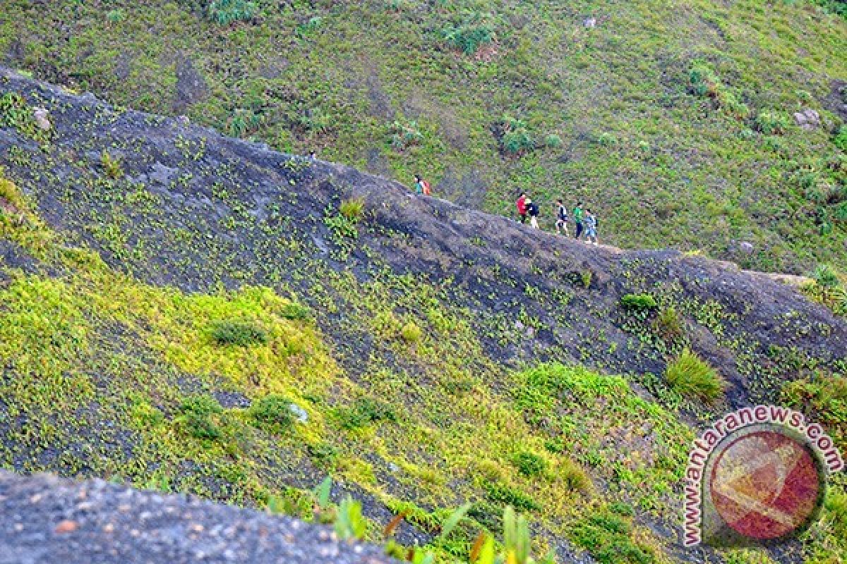 BTN Gunung Merbabu: Pendaki Jangan Lewat  "Jalur Tikus"