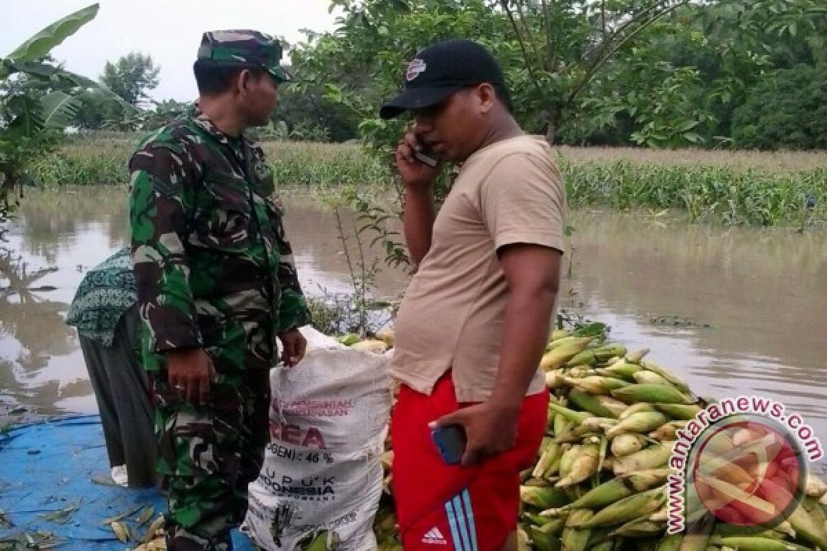 Kodim Bojonegoro Kerahkan 50 Personel Hadapi Banjir