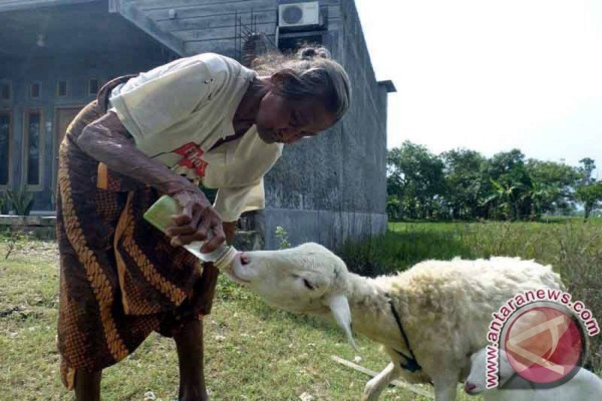 Bupati Bojonegoro Minta Pejabat Tingkatkan Gizi Ternak