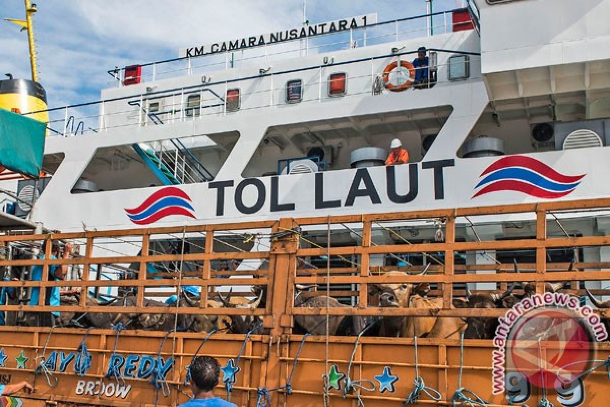 Tiga kapal pengangkut sapi tertahan di Kupang 