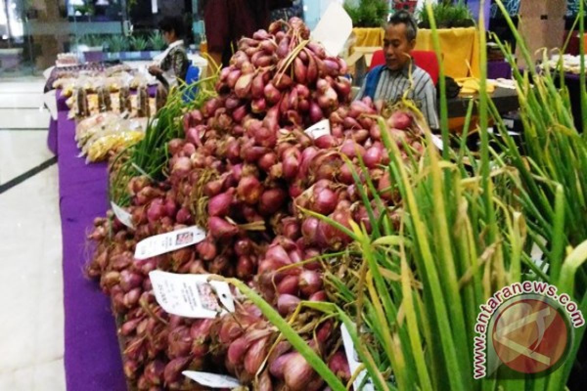 Paser-BI Kerja Sama Tingkatkan SDM Petani Bawang 