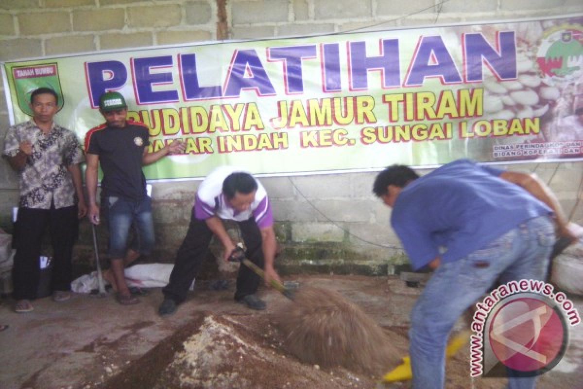 Tanah Bumbu Latih Warga Budidayakan Jamur Tiram