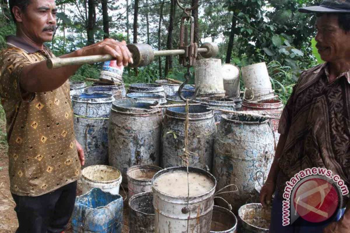 Penyadap Keluhkan Produksi Getah Pinus Turun