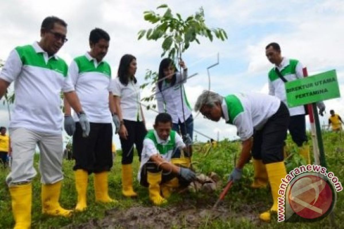 Pertamina bersama Wartawan tanam 2.500 pohon di BIL