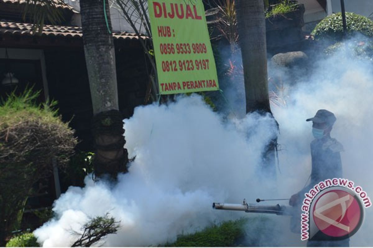 Angka bebas jentik Yogyakarta masih rendah