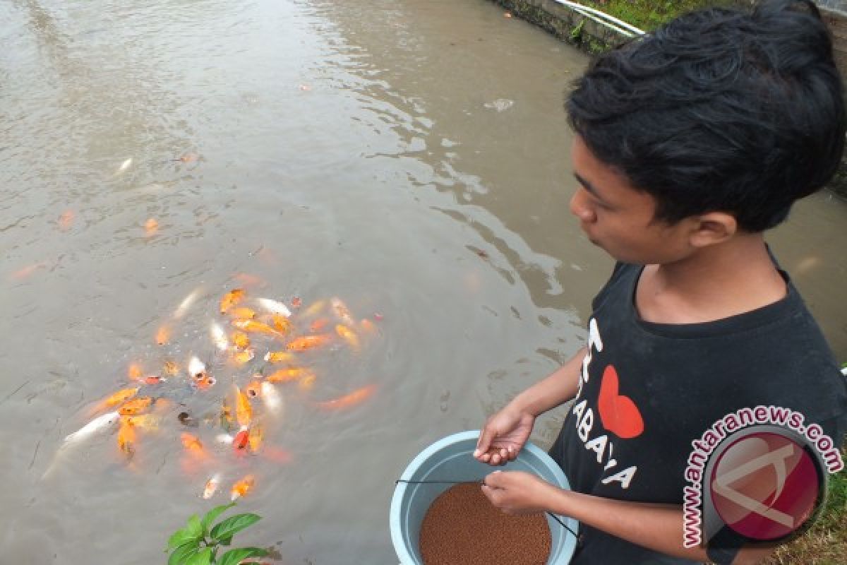 Balai Benih Jember Produksi 3 Juta Ikan