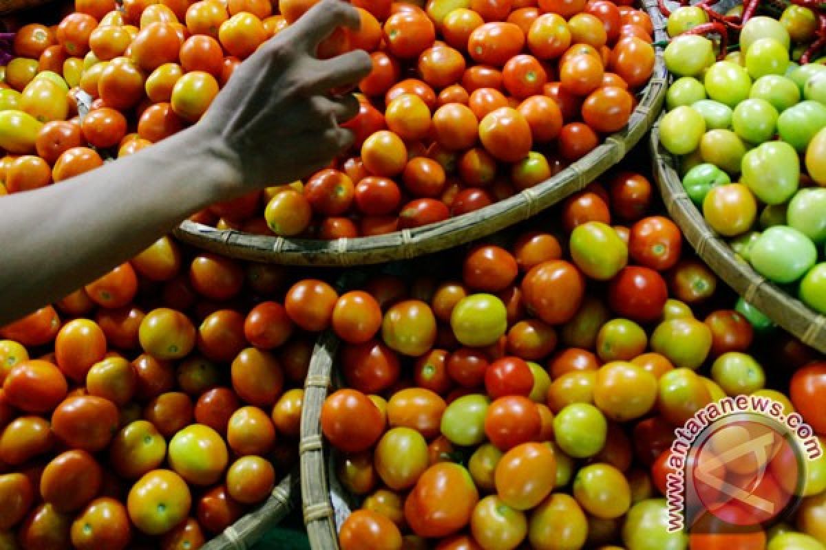BPS: tomat picu Manado deflasi 1,13 persen