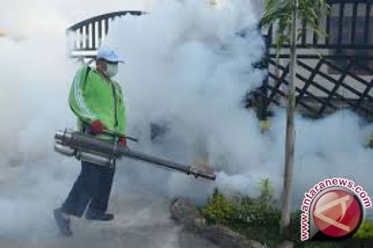 Dinkes: Fogging tidak jamin nyamuk aedes hilang