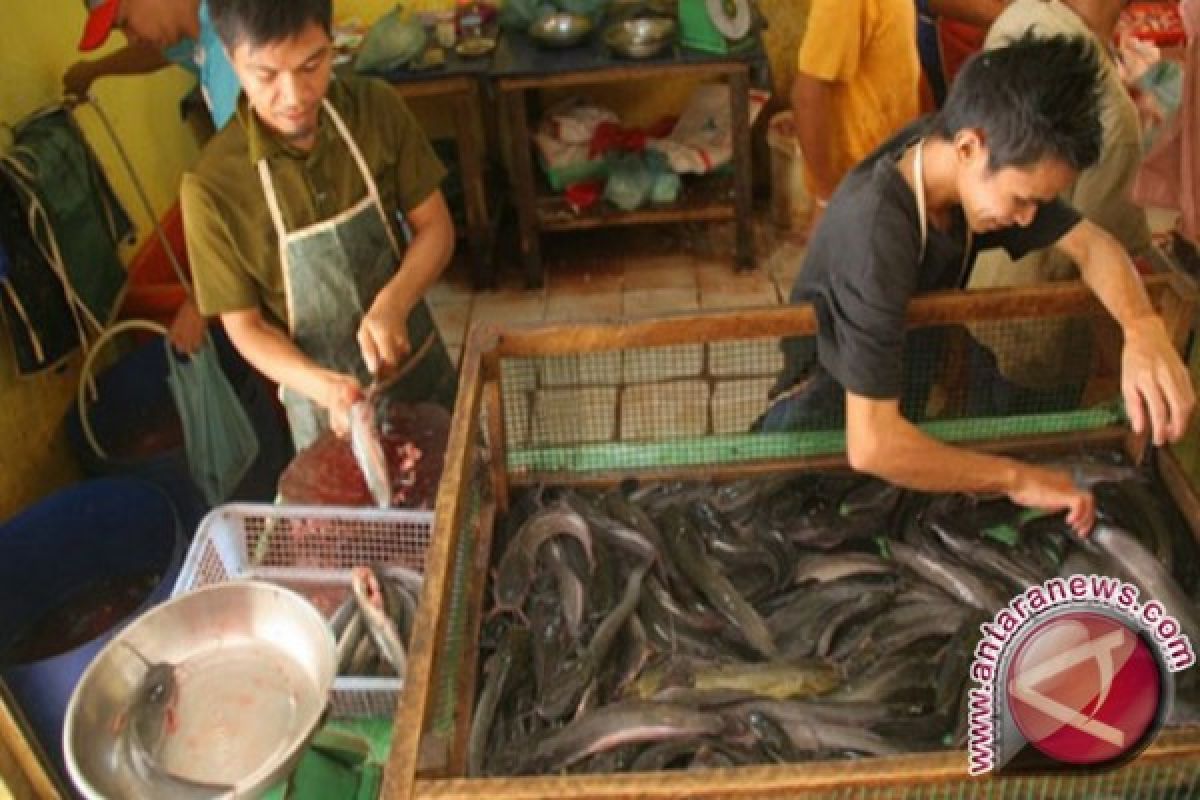 Aceh Utara Galakkan Budidaya Ikan Air Tawar
