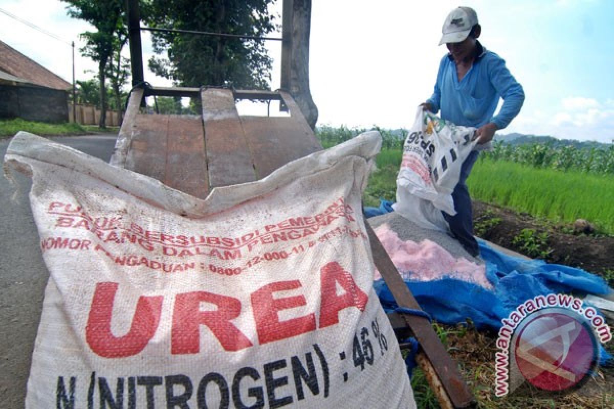 Penyerapan pupuk non-urea Aceh dan Sumut tinggi