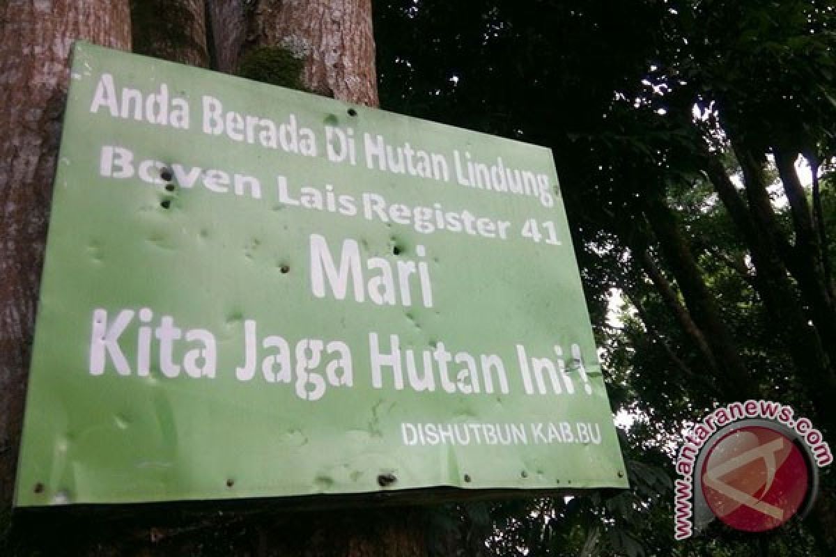 Boven Lais berpotensi jadi tujuan wisata bunga langka