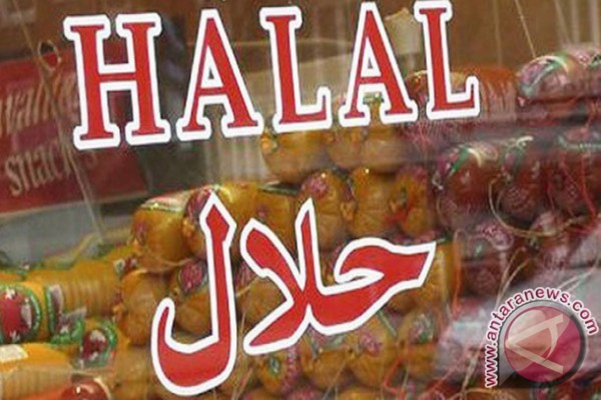 Produk Halal Indonesia Makin Dikenal Di Pasar Ekspor