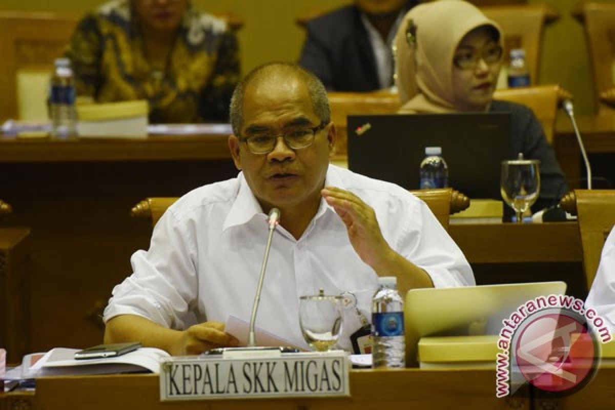 SKK Migas: Tujuh proyek hulu berproduksi 2018