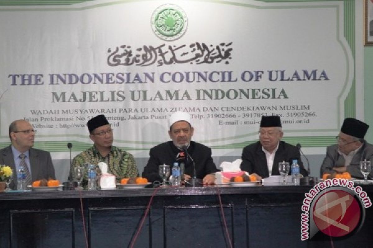 Pemfitnah Grand Syekh Al Azhar Dilaporkan ke Polisi