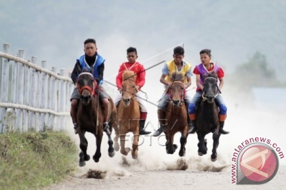 Pacuan Kuda Tradisional Gayo