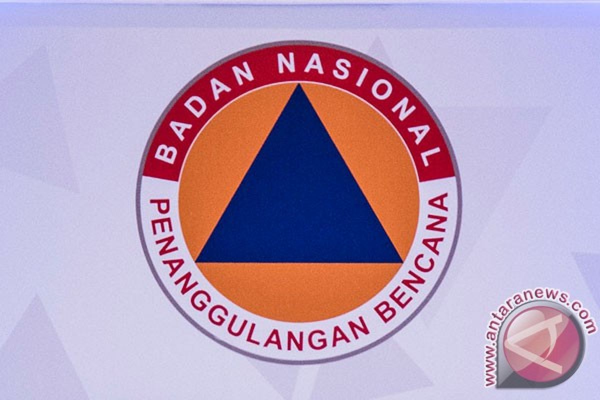 BNPB : status Gunung Agung waspada