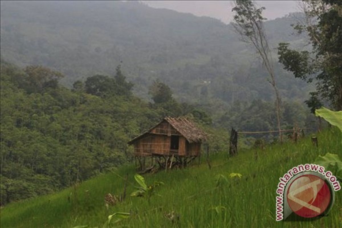  Pegunungan Meratus Taman Nasional