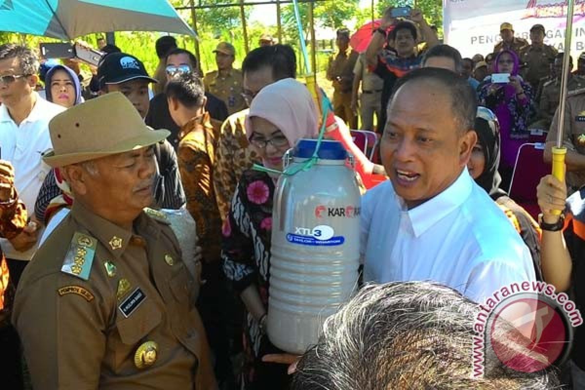 Menristek dorong riset inovatif untuk swasembada daging 