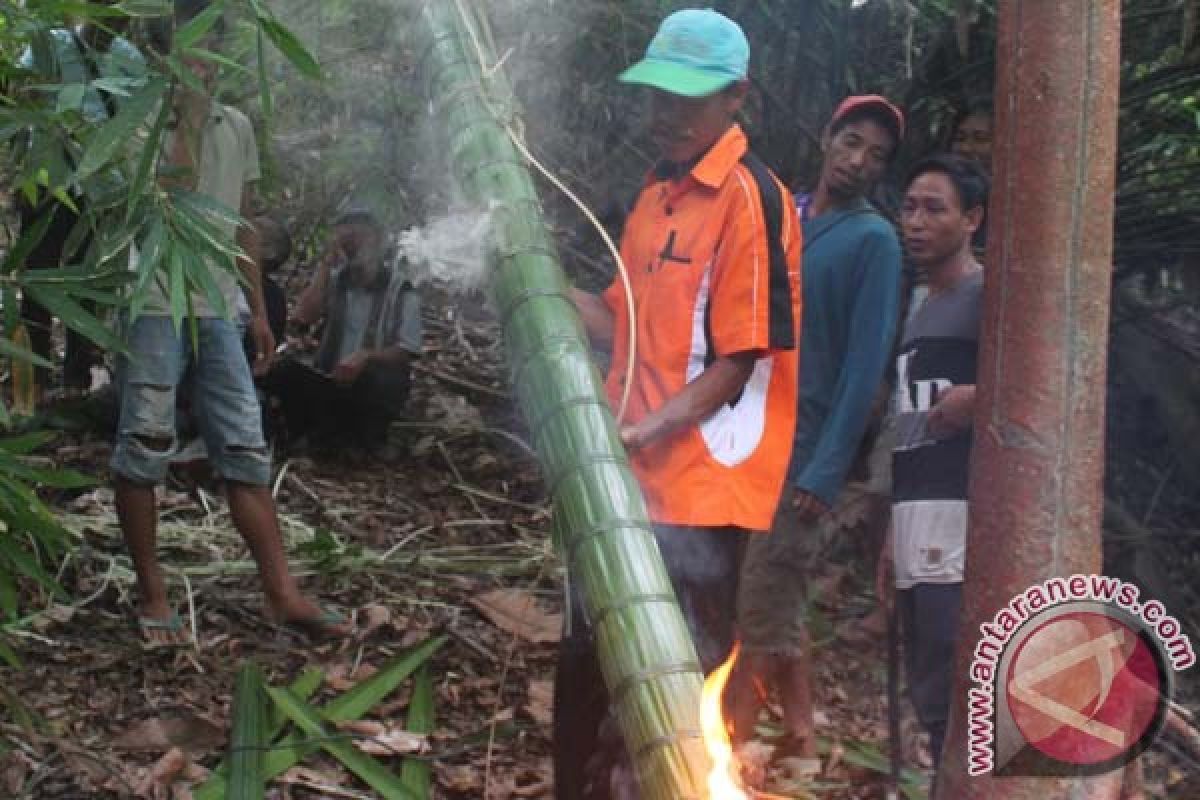 Berburu madu sembari selamatkan lingkungan