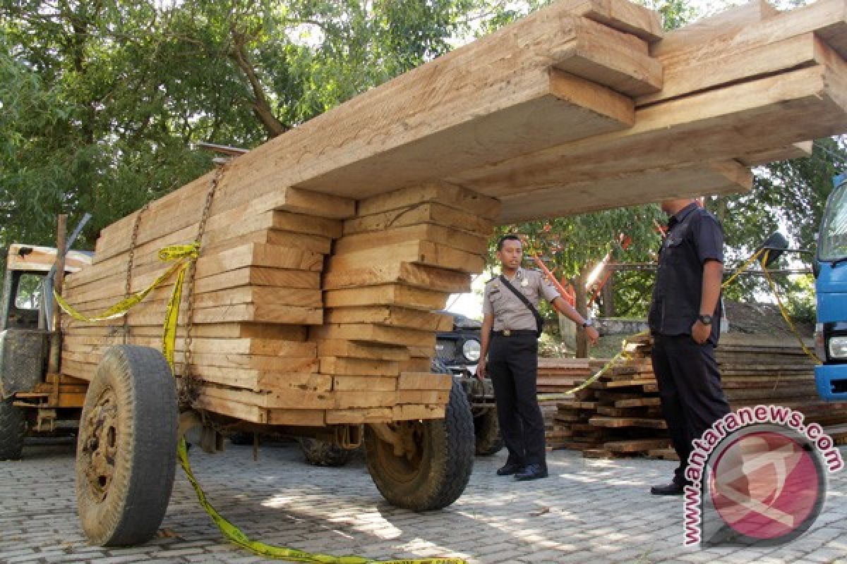 KPH amankan puluhan kubik kayu ilegal