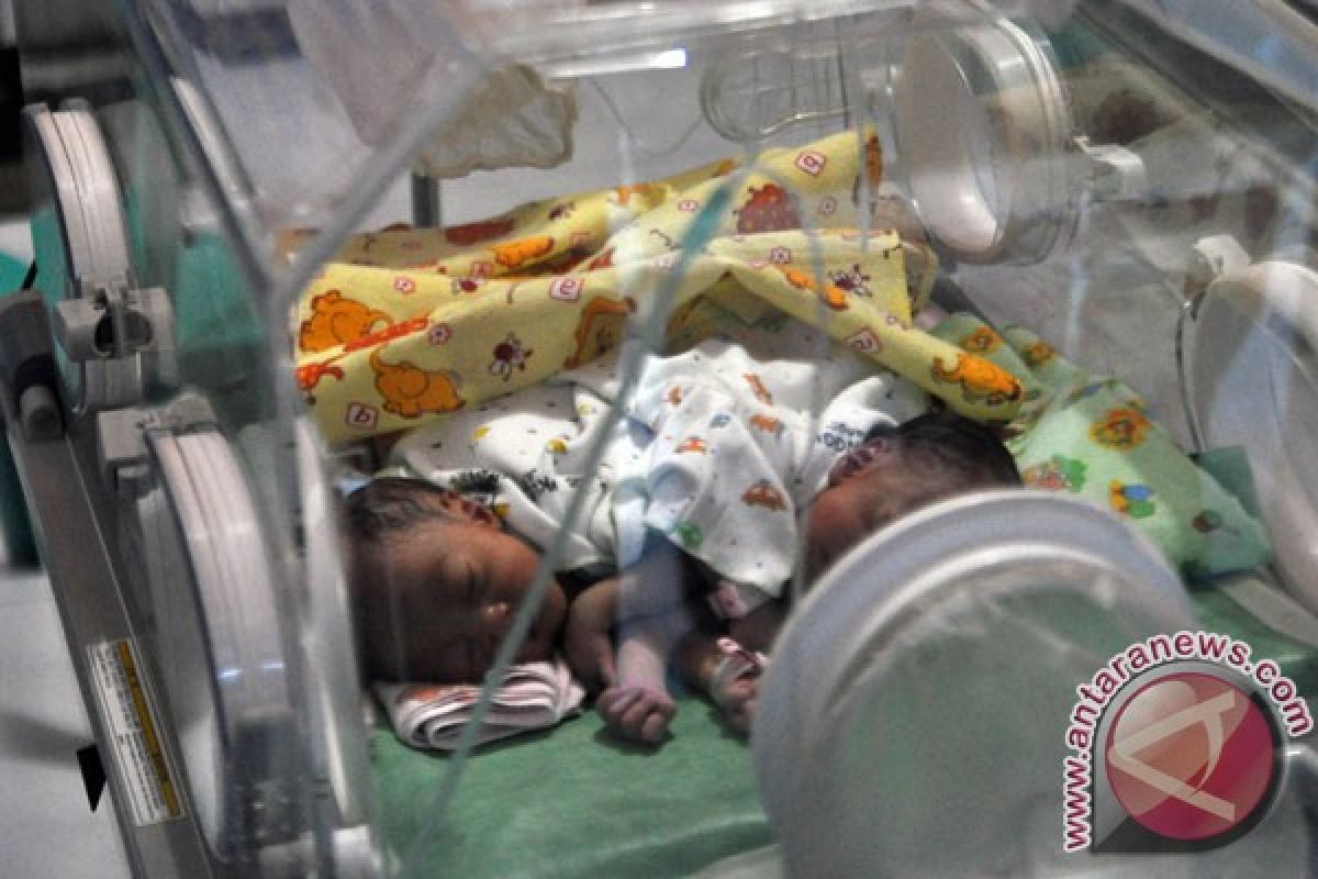Bayi kembar siam Gaza berhasil dipisahkan di Saudi