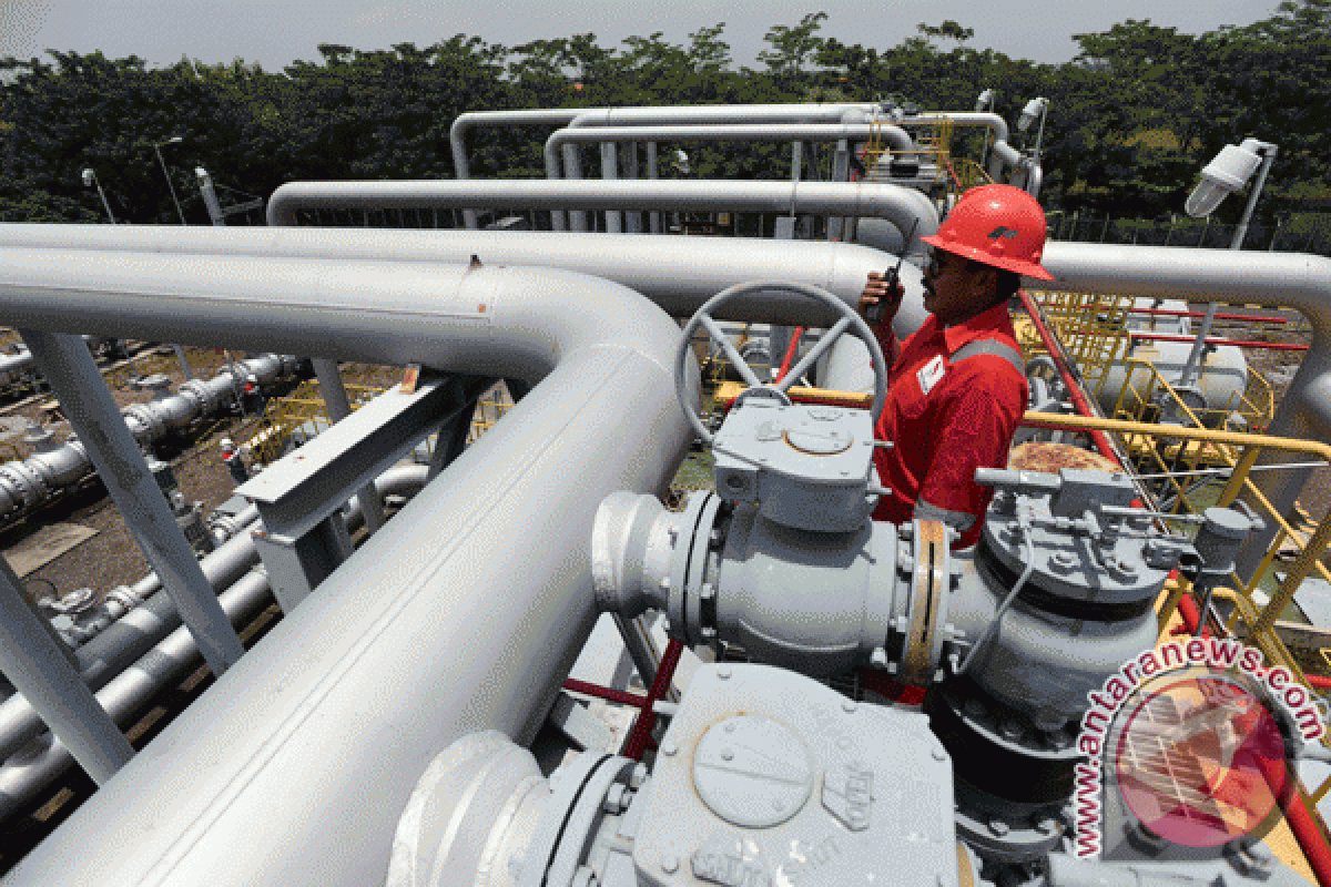 SKK Migas jamin  pasokan gas untuk industri pupuk tahun depan