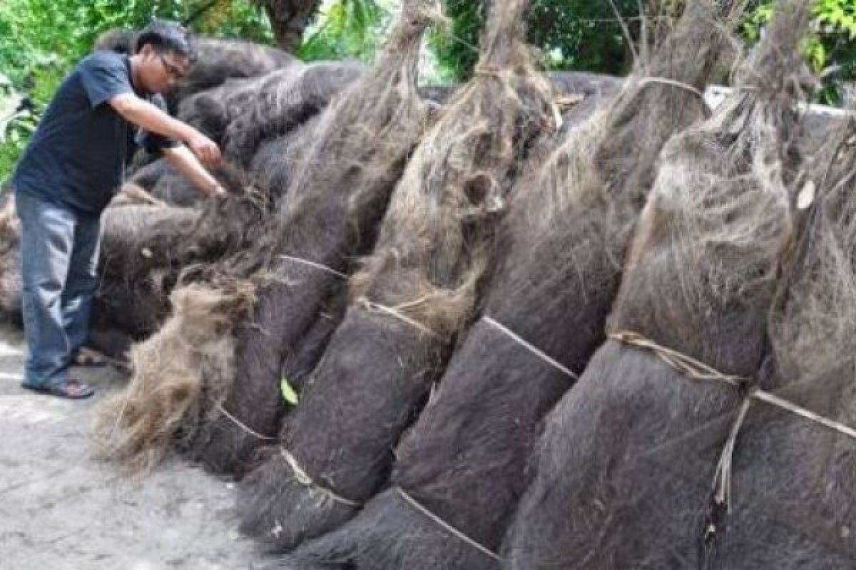 Tali Ijuk Temanggung Tembus Pasaran Luar Jawa