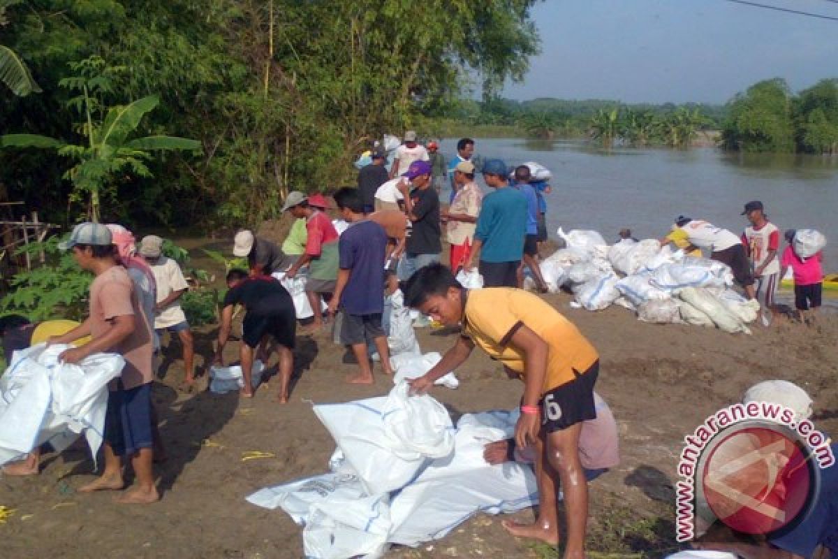 Seratusan hektare Padi Bojonegoro Terendam Banjir