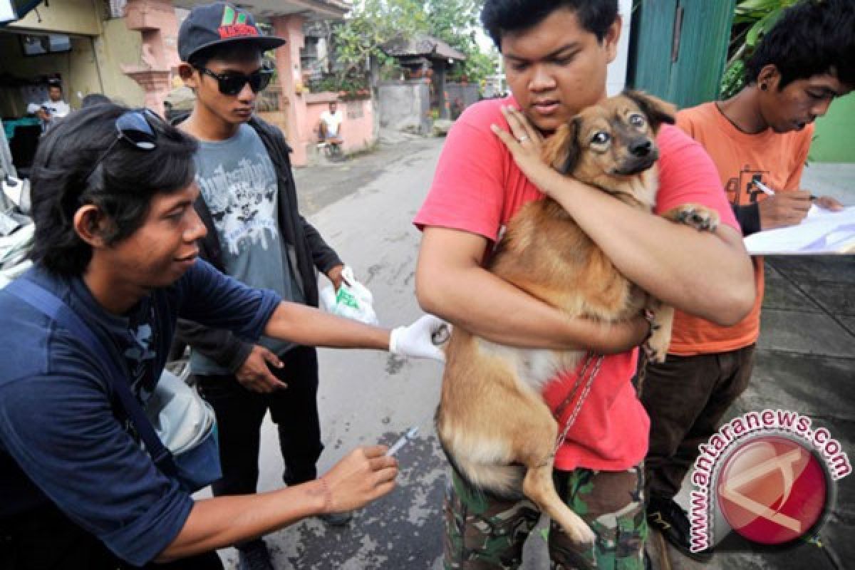 Tanah Bumbu Vaksin 1.450 Anjing Antisipasi Rabies