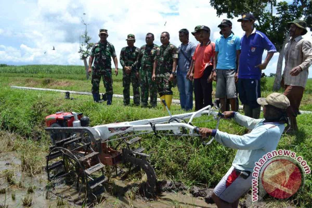 Staf Teritorial AD Pantau Pertanian di Jember