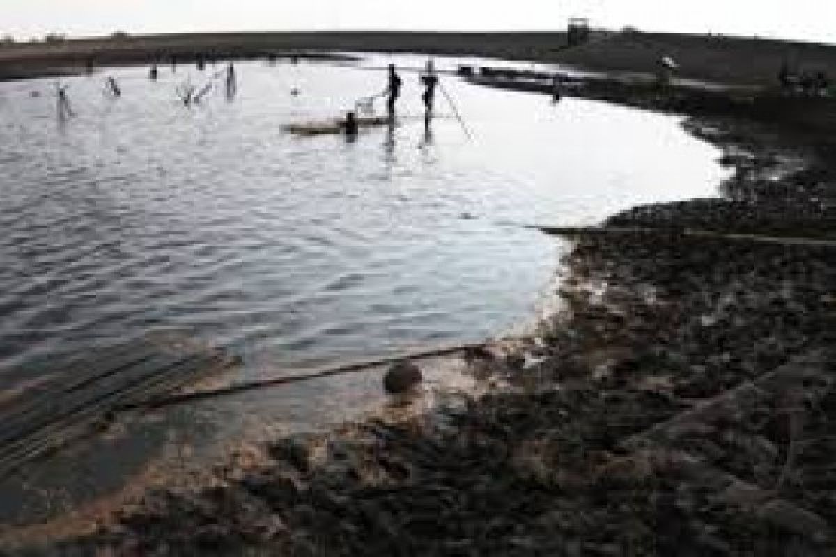 DPD: UU Pengairan Mendesak untuk Direvisi