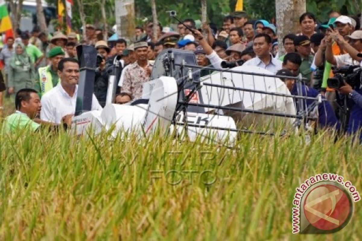 Mentan Pusatkan Panen Padi Di Jateng