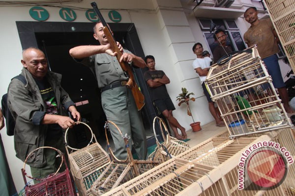 Polisi amankan ratusan burung asal Malaysia