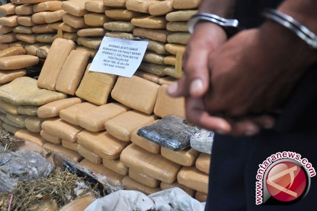 BNN Tangkap Sindikat Pengedar Ganja di Sukabumi