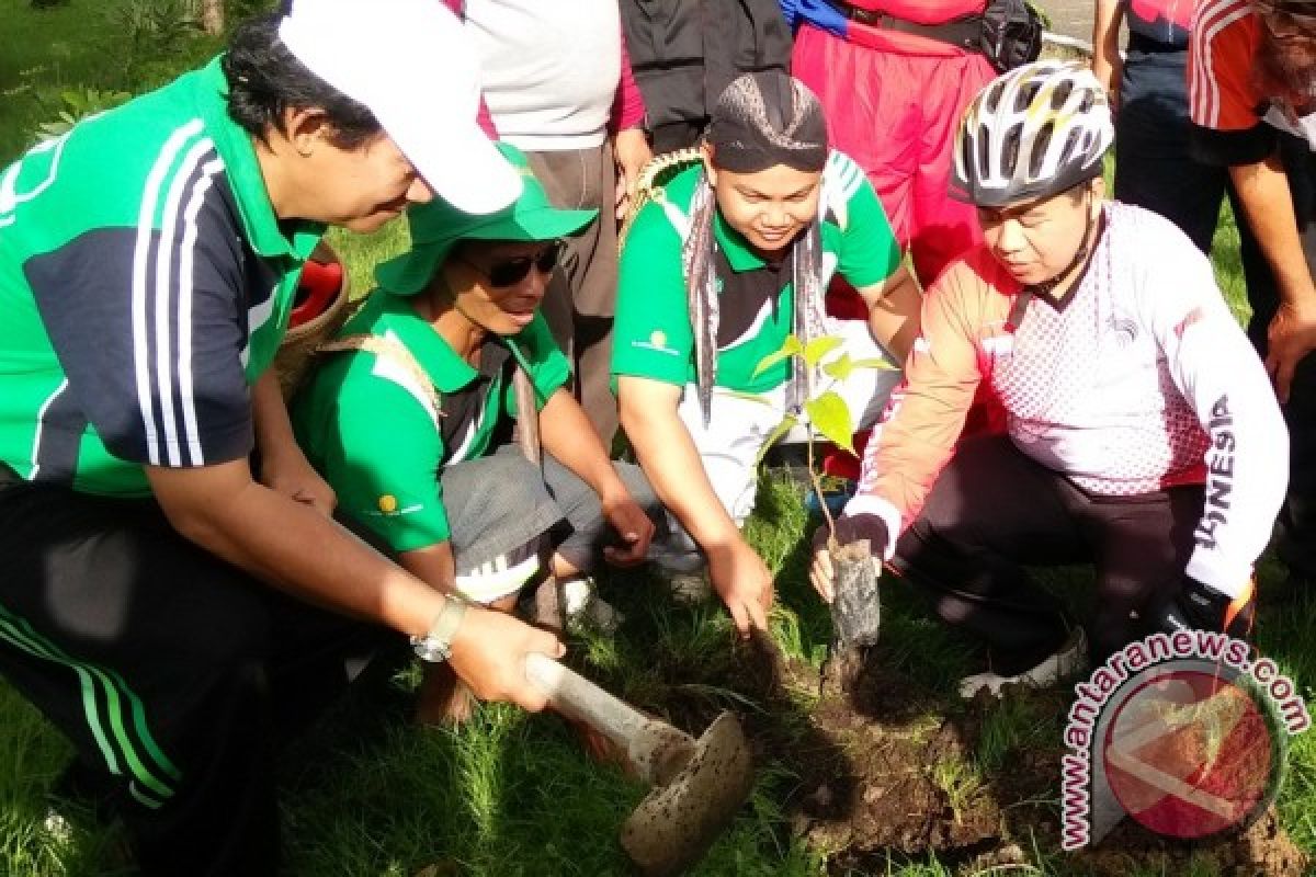 Wali Kota Banjarmasin Lestarikan Pohon Ulin 