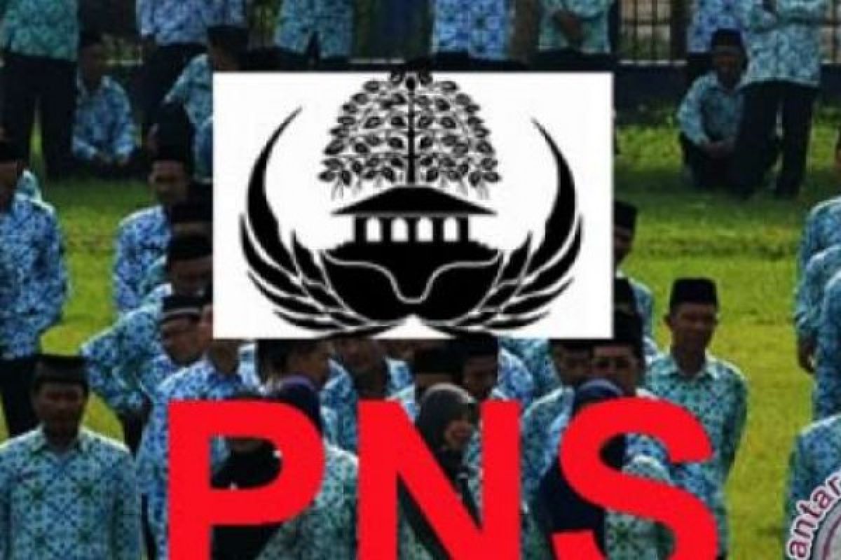 Pemprov Riau Ajukan Penerimaan CPNS 2.000 Orang, Ini Keterangan BKP2D